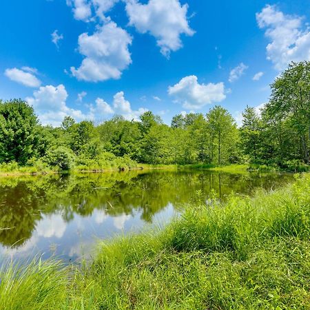 Secluded Poconos Cabin With Fire Pit On 75 Acres! East Stroudsburg Zewnętrze zdjęcie