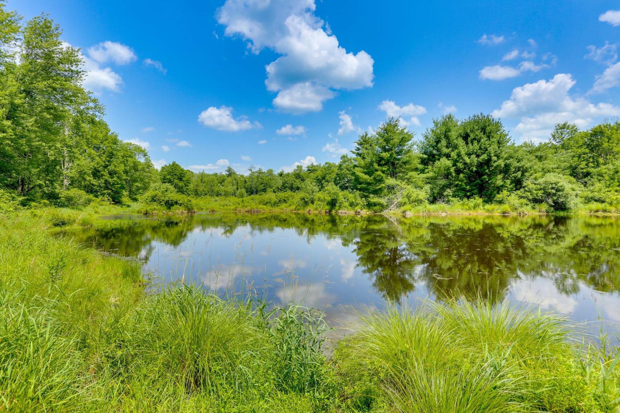 Secluded Poconos Cabin With Fire Pit On 75 Acres! East Stroudsburg Zewnętrze zdjęcie